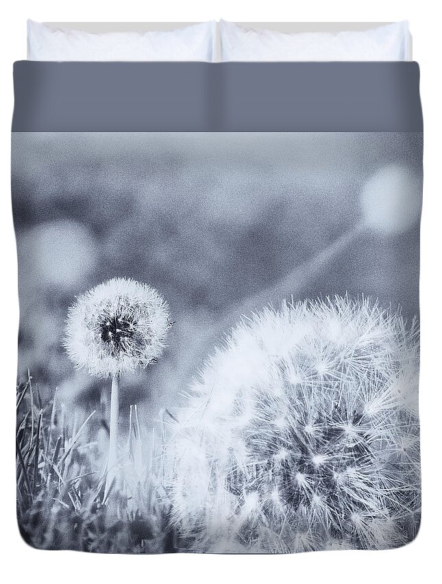 Dandelion Duvet Cover featuring the photograph Around The Meadow 2 by Jaroslav Buna