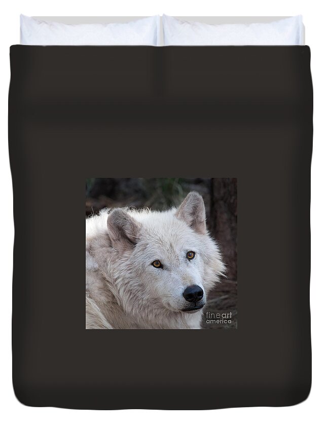Photography Duvet Cover featuring the photograph Artic Wolf by Laurinda Bowling