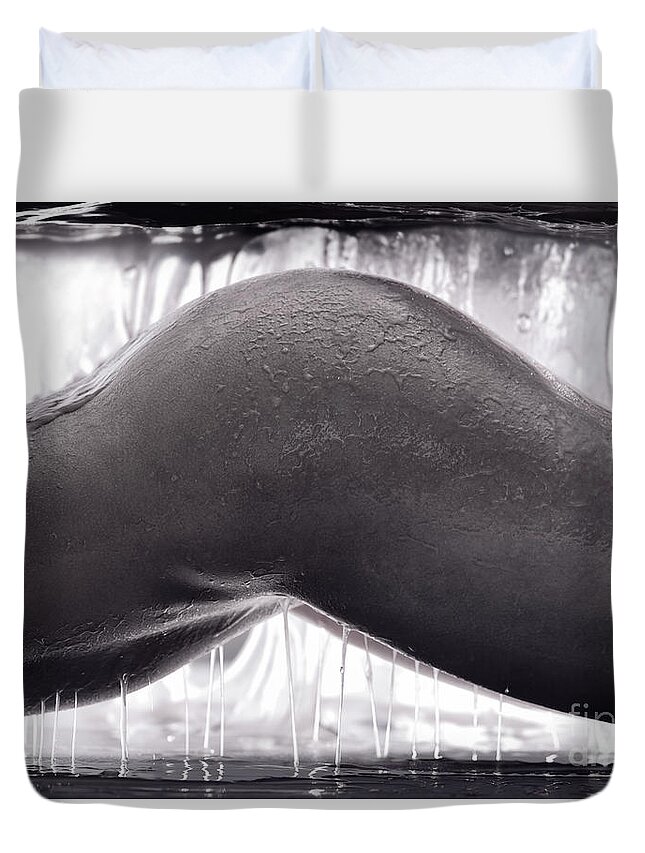 Nude Duvet Cover featuring the photograph Artistic erotic closeup of a nude woman body covered in sticky slime by Maxim Images Exquisite Prints
