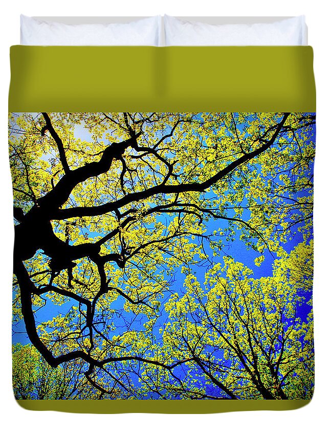 Tree Canopy Duvet Cover featuring the photograph Artsy Tree Canopy Series, Early Spring - # 01 by The James Roney Collection