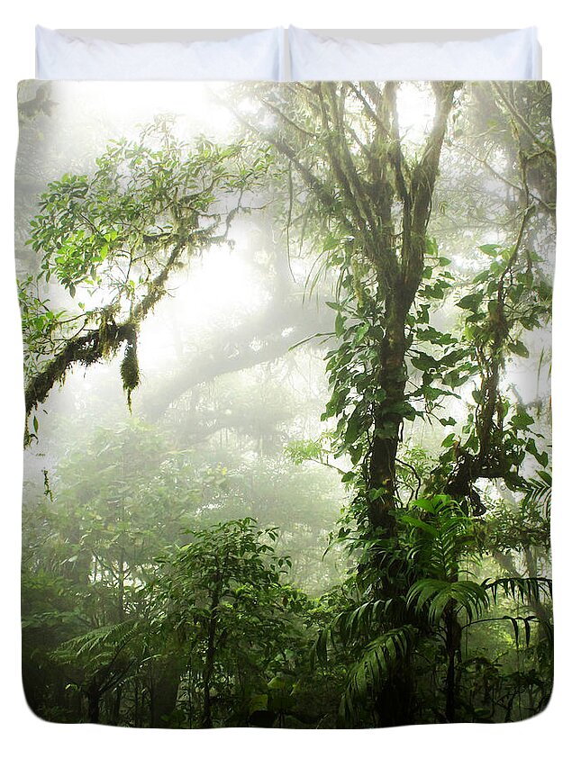Forest Duvet Cover featuring the photograph Cloud Forest by Nicklas Gustafsson