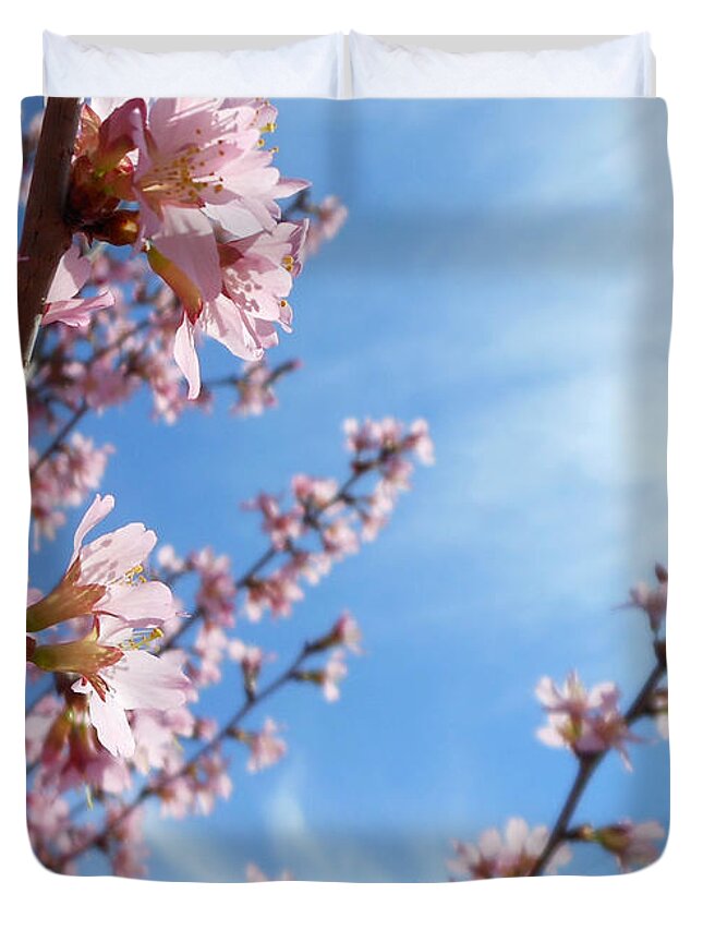 Pink Cherry Blossoms Duvet Cover featuring the photograph Pink Cherry Blossoms Branching Up To The Sky by Kristin Aquariann
