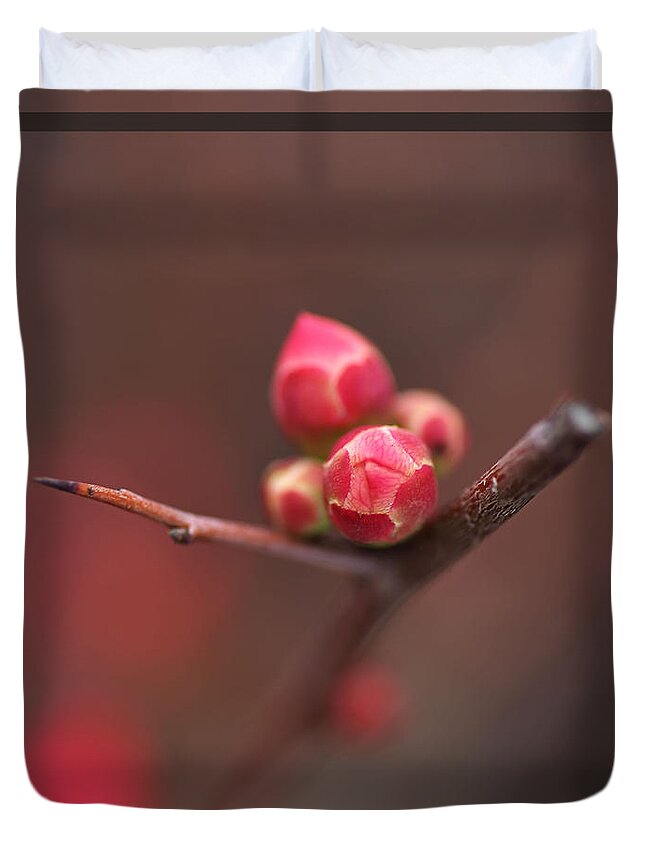 Floral Duvet Cover featuring the photograph Bud Of The Flowering Quince by Joy Watson