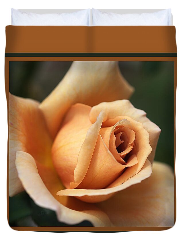 Rosa Julias Rose Duvet Cover featuring the photograph Beautiful Rose in Orange and Coffee by Joy Watson