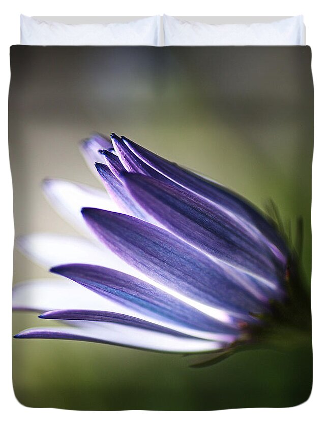 Osteospermum Duvet Cover featuring the photograph Beautiful Inner Glow Of The Daisy by Joy Watson