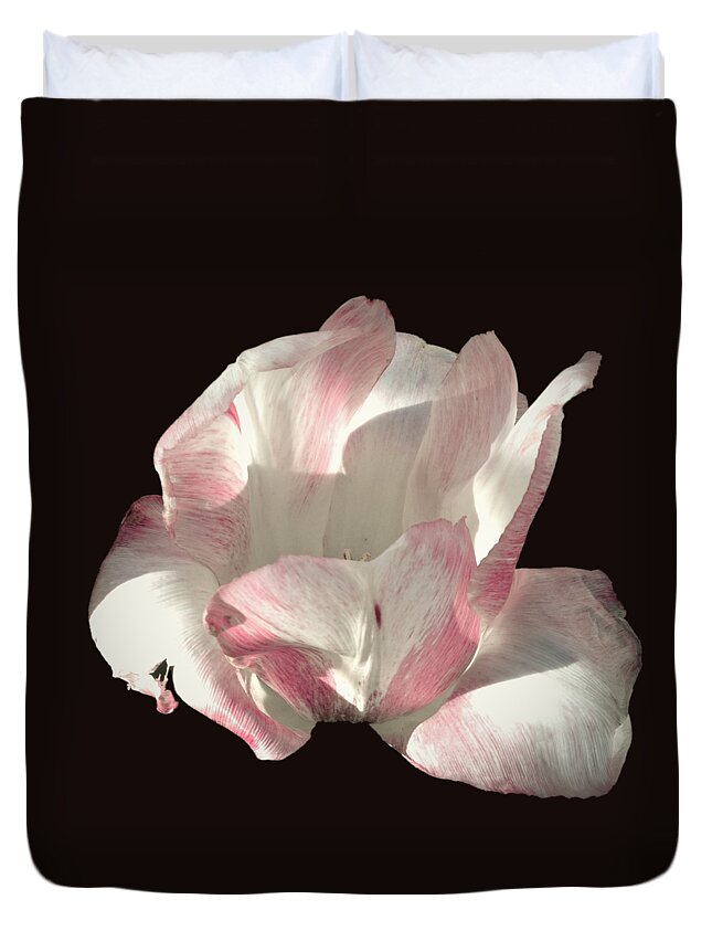 Tulip Duvet Cover featuring the photograph Pretty in Pink by Photographic Arts And Design Studio