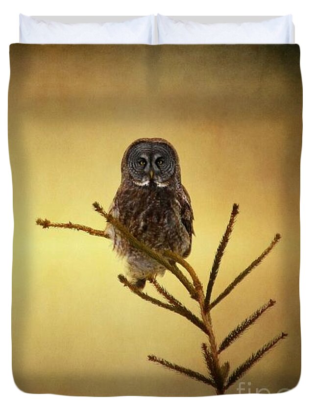 Owls Duvet Cover featuring the photograph As the sun goes down by Heather King