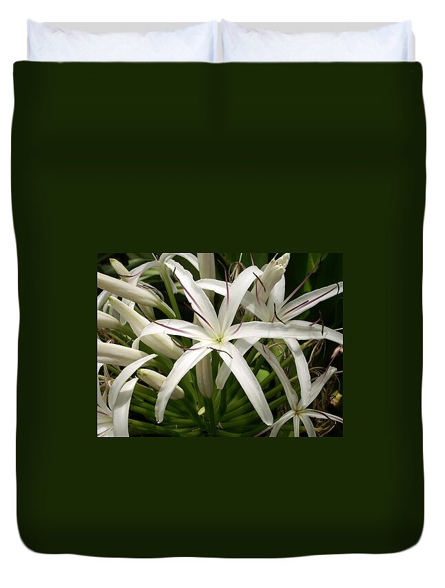 Flower Duvet Cover featuring the photograph Asiatic Poison Lily by Amy Fose