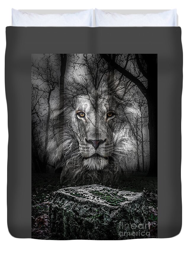 Aslan Duvet Cover featuring the photograph Aslan And The Stone Table by Michael Arend
