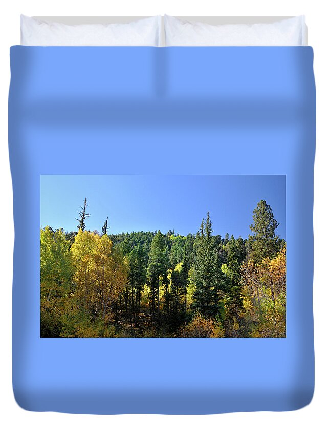 Landscape Duvet Cover featuring the photograph Aspen And Cottonwood In Concert by Ron Cline