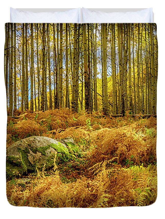Colorado Duvet Cover featuring the photograph Aspen and Fern Grove CO_DSC07282-Pano by Greg Kluempers