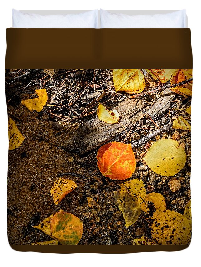 Apsen Leaf Duvet Cover featuring the photograph Aspen Floor by Michael Brungardt