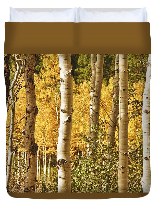 Autumn Duvet Cover featuring the photograph Aspen Gold by James BO Insogna