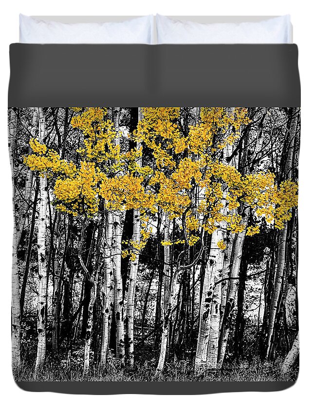 Black Duvet Cover featuring the photograph Aspen Touch of Orange by James BO Insogna