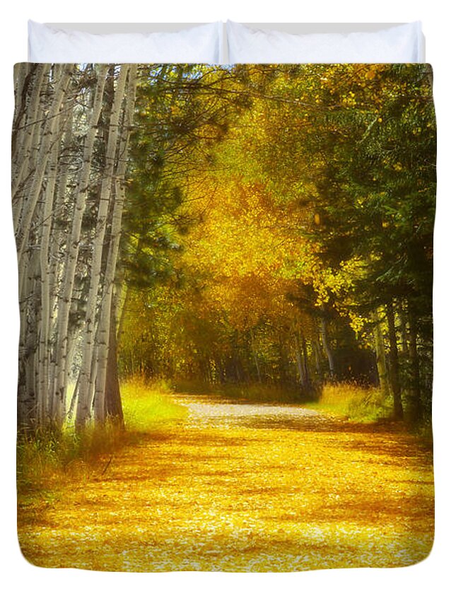 Aspens Duvet Cover featuring the photograph Say You'll Follow Me by Amanda Smith