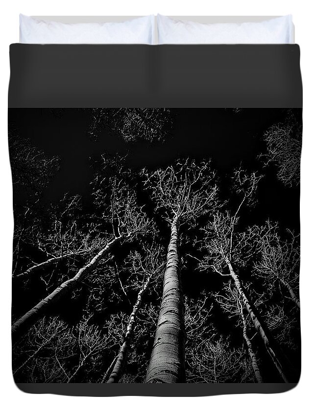 Aspen Trees Duvet Cover featuring the photograph Aspen Winter by Michael Brungardt
