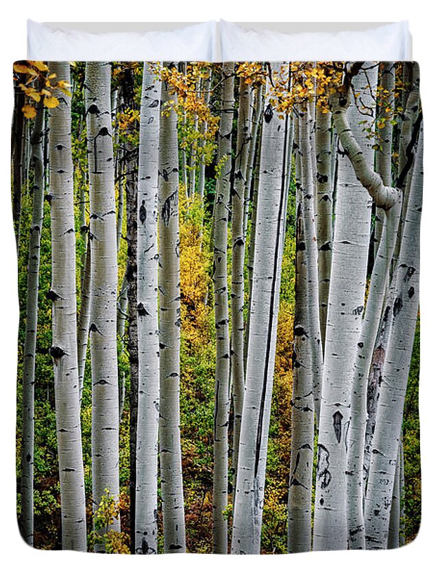 Aspen Duvet Cover featuring the photograph Aspens and Fern Vertical by David Soldano