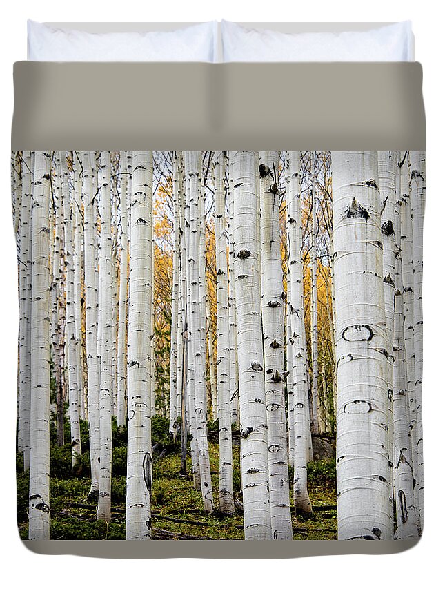 Aspen Duvet Cover featuring the photograph Aspens And Gold by Stephen Holst