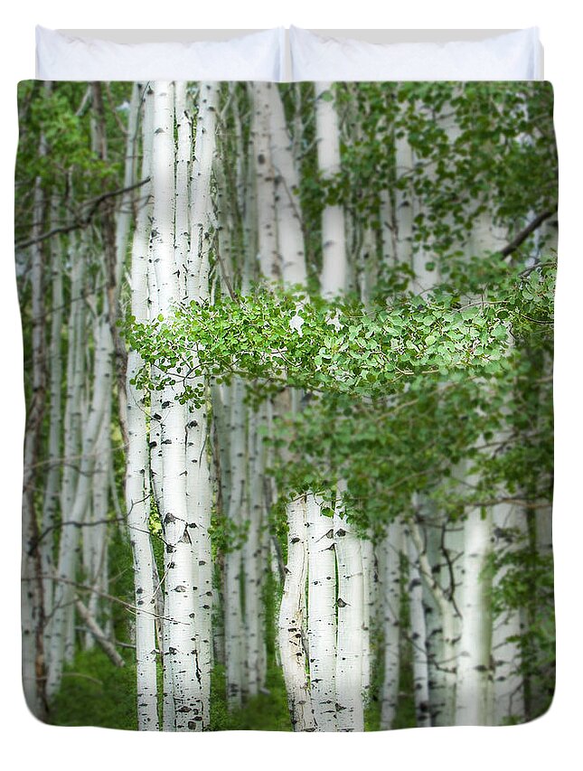 Aspens Duvet Cover featuring the photograph Aspens, Colorado by George Robinson