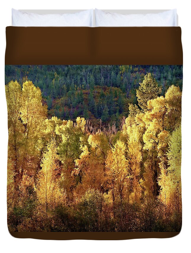 Aspens Duvet Cover featuring the photograph Aspens in Autumn I by Leda Robertson