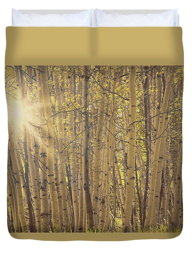Tree Duvet Cover featuring the photograph Aspens in Summer by Amanda Smith