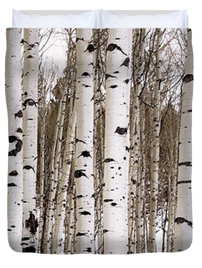 Aspen Duvet Cover featuring the photograph Aspens In Winter Panorama - Colorado by Brian Harig