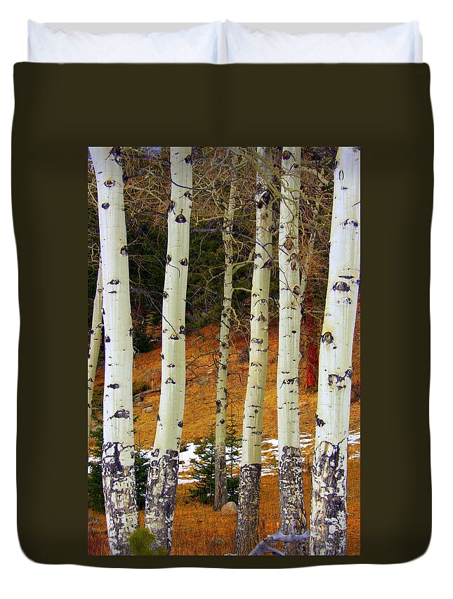 Aspens Duvet Cover featuring the photograph Aspens of white by Julie Lueders 