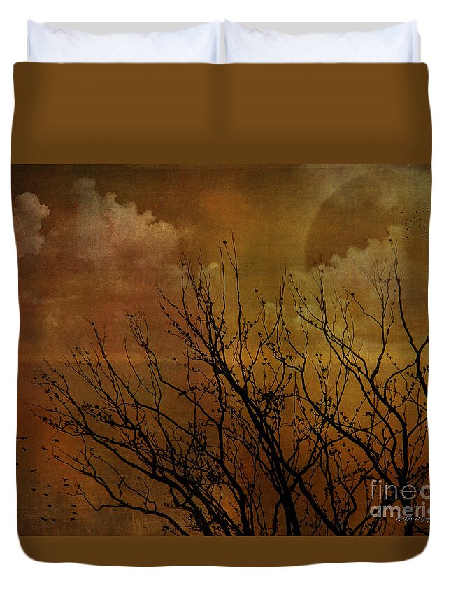 Sun Duvet Cover featuring the digital art At End of Day III by Rhonda Strickland