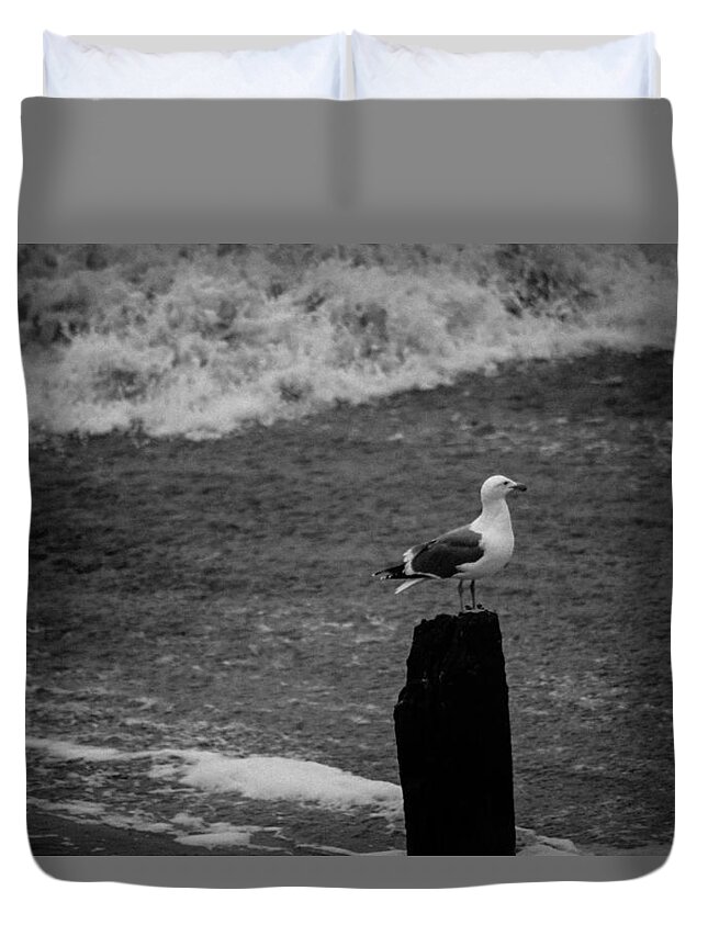 Capitola Duvet Cover featuring the photograph At his post by Lora Lee Chapman