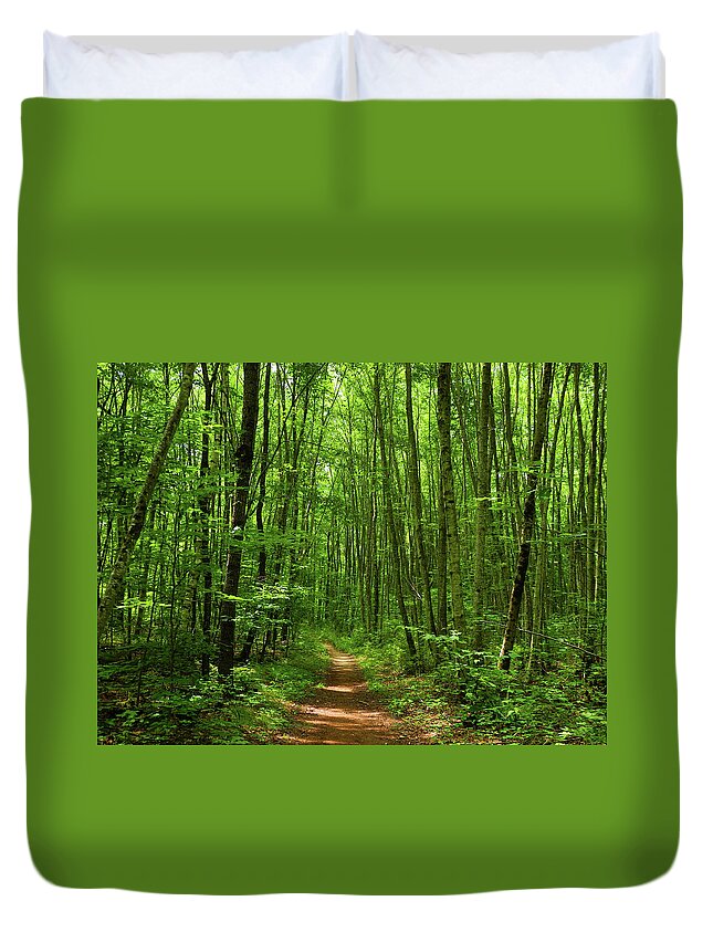 At In Ct Duvet Cover featuring the photograph AT in Connecticut's Tall Trees by Raymond Salani III