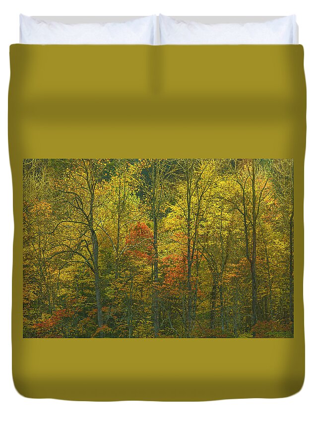  Duvet Cover featuring the photograph At the edge of the forest by Ulrich Burkhalter