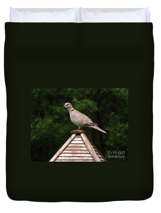 Bird Duvet Cover featuring the photograph At The Top of The Bird Feeder by Donna Brown