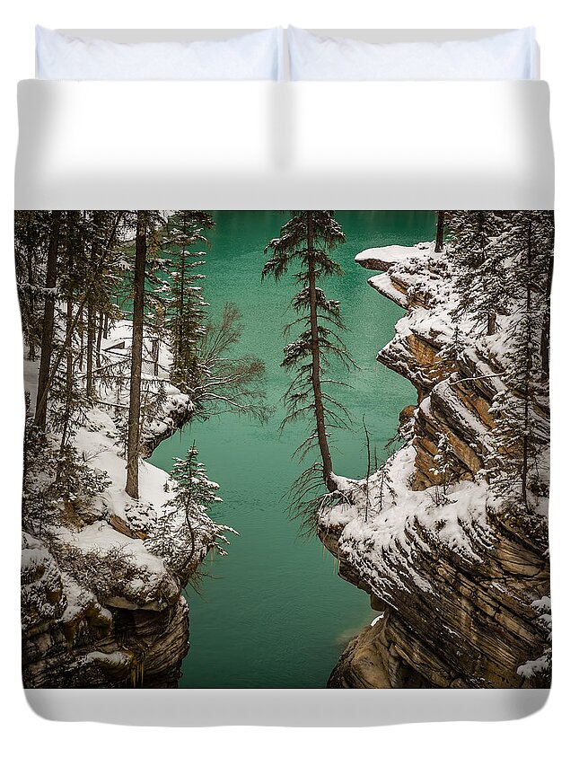 Trees Duvet Cover featuring the photograph Athabasca Art by Gary Migues