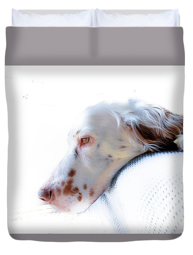 English Setter Duvet Cover featuring the photograph Athos P by Jeff Cooper