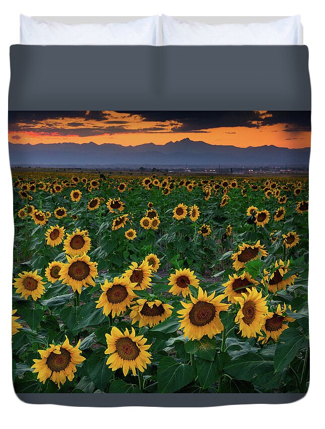 Colorado Duvet Cover featuring the photograph August Sunflowers In Colorado by John De Bord