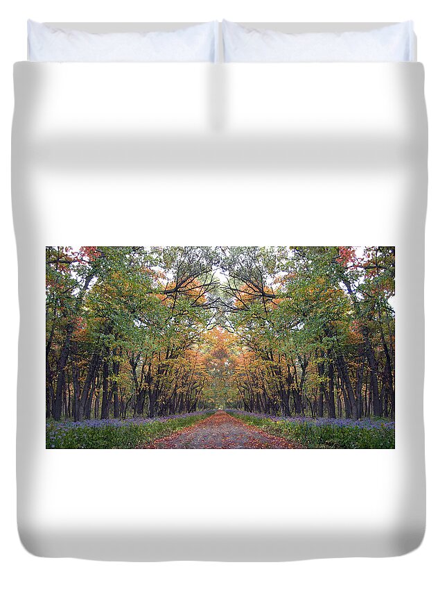 Landscape Duvet Cover featuring the photograph Autumn Canopy by Cedric Hampton