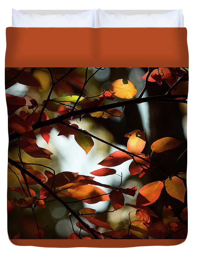 Fall Leaves Duvet Cover featuring the photograph Autumn Changing by Mike Eingle