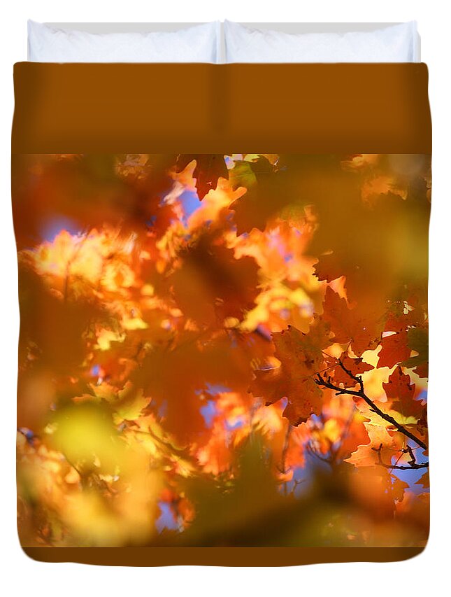 Landscape Duvet Cover featuring the photograph Autumn Colors and Leaves by Brett Pelletier