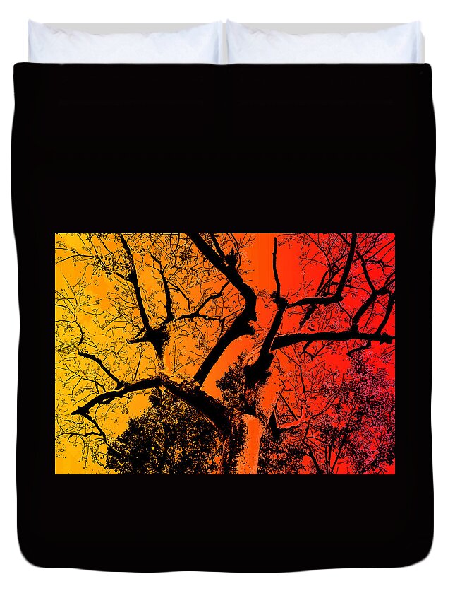 Tree Duvet Cover featuring the photograph Autumn Colors by Ian MacDonald