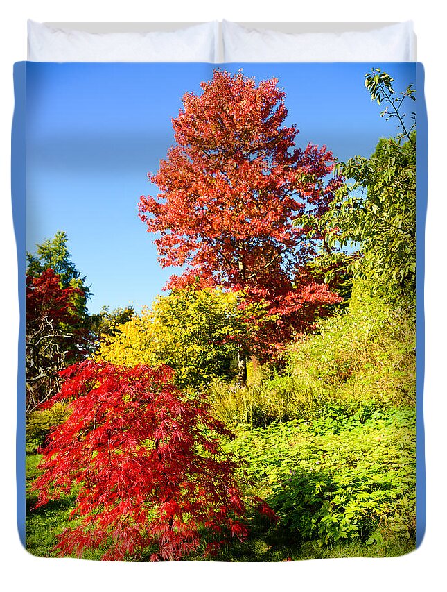 Autumn Duvet Cover featuring the photograph Autumn colours by Colin Rayner