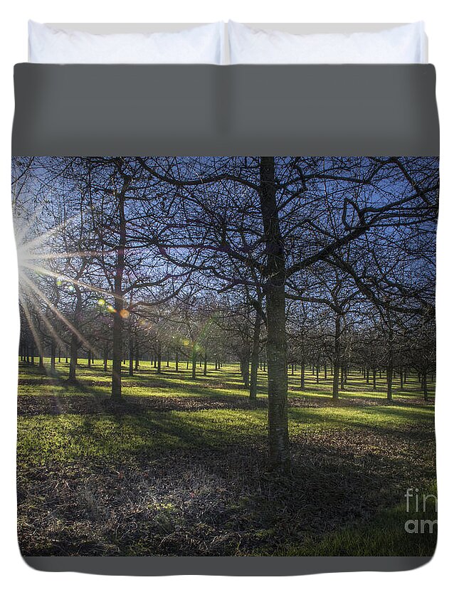Autumn Duvet Cover featuring the photograph Autumn Day by Bruno Santoro