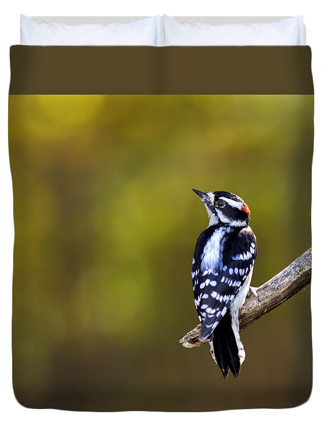 Woodpecker Duvet Cover featuring the photograph Autumn Downy Woodpecker by Bill and Linda Tiepelman