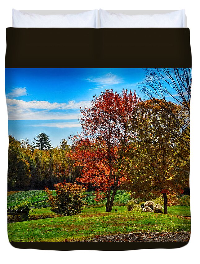 Grass Duvet Cover featuring the photograph Autumn Field by Tricia Marchlik