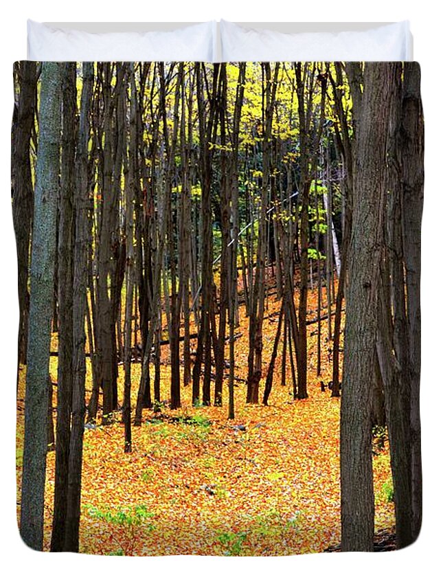 Abstract Duvet Cover featuring the photograph Autumn Forest by Lyle Crump