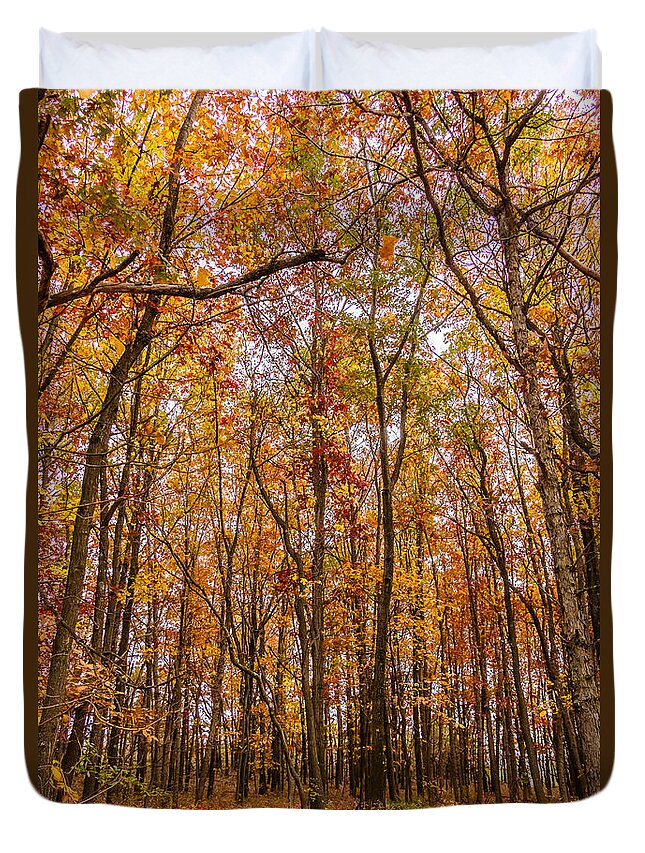 Trees Duvet Cover featuring the photograph Autumn forest by SAURAVphoto Online Store