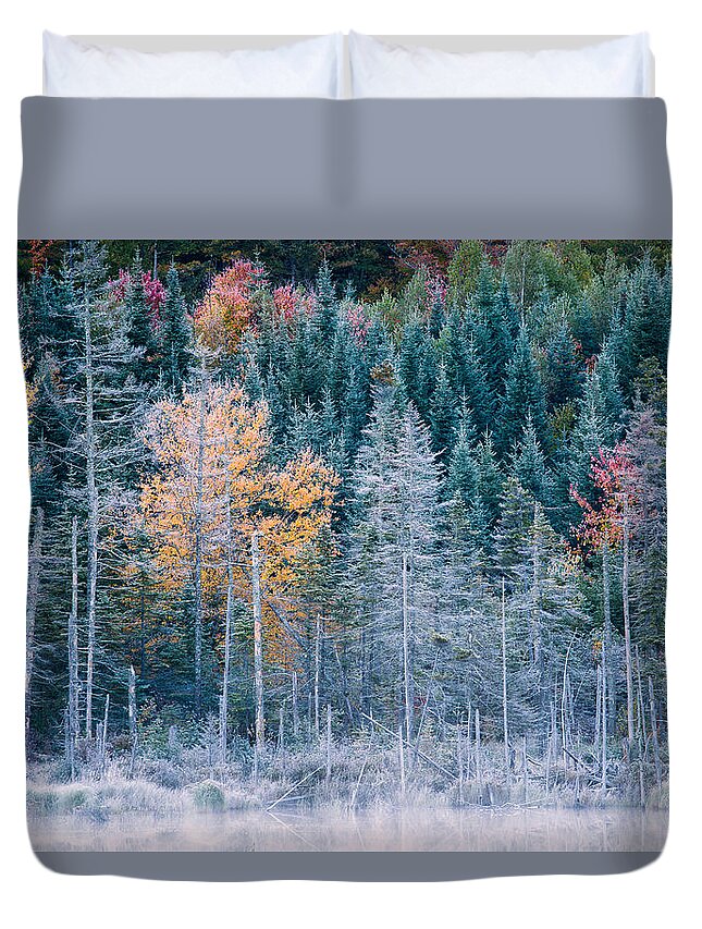 Autumn Duvet Cover featuring the photograph Autumn Frost by Jeff Sinon