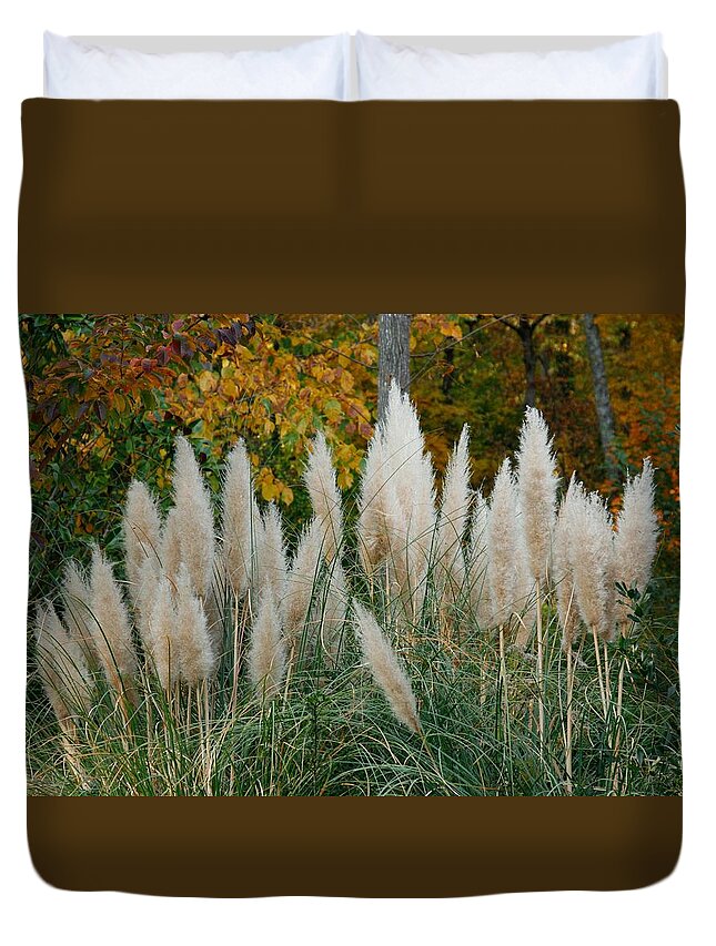 Landscape Duvet Cover featuring the photograph Autumn Pampas Grass by Gina Fitzhugh