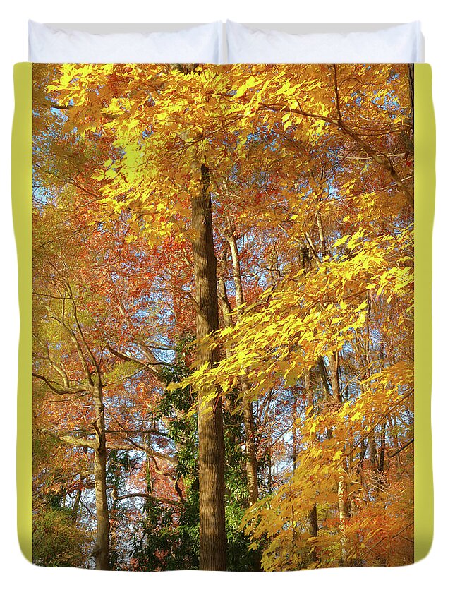 Autumn Gold Duvet Cover featuring the photograph Autumn Gold by Ola Allen