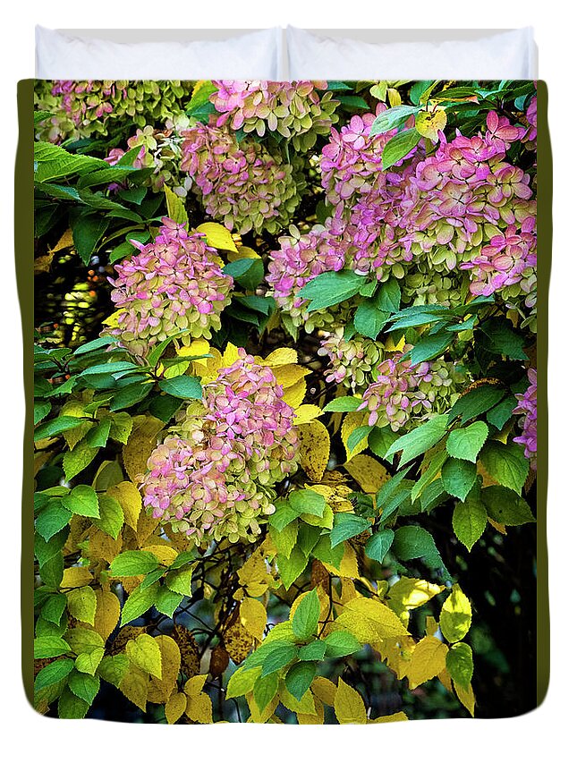 Clematis Vine Duvet Cover featuring the photograph Autumn Hydrangea by Tom Singleton