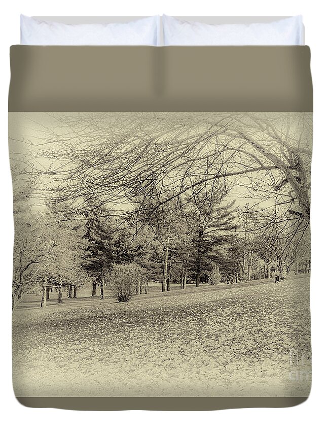 Autumn Duvet Cover featuring the photograph Autumn in the Glen by William Norton